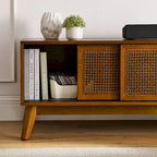 59 TV Stand with Open Shelves & Rattan Doors for 65 TVs