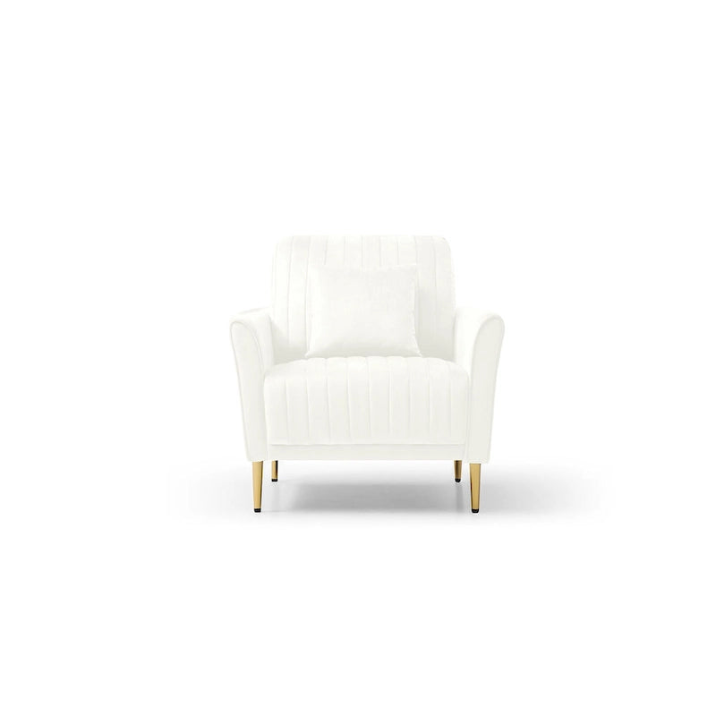 Velvet Accent Chair Living Room Chair Set of 2