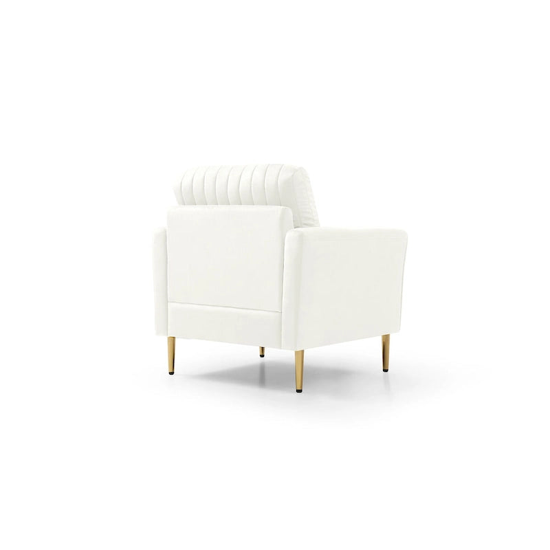 Velvet Accent Chair Living Room Chair Set of 2