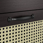 DH BASIC Tropical Espresso Faux Rattan Webbed 4-Drawer Mini Chest by Denhour