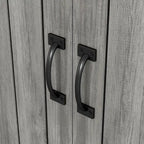 DH BASIC Jody Farmhouse Adjustable 4-Shelf Double-Door Shoe Cabinet with Lift-top Storage by Denhour