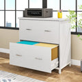 2 Drawer Lateral File Cabinet Printer Stand with Stroage