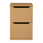 Denmark Vertical File