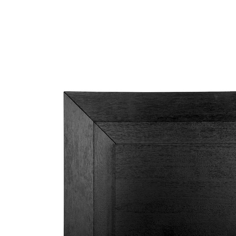 Alaric Modern Black Solid Wood Panel Bed with LED Light Headboard