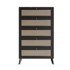 Mid-Century Modern Black Chest
