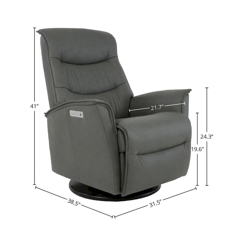 Leather Swing Recliner