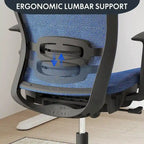 FlexiSpot Ergonomic Office Desk Chair 360 Swivel Height Adjustable Mesh Chair Adjustable Headrest, Lumbar Support, Armrest