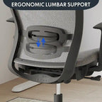 FlexiSpot Ergonomic Office Desk Chair 360 Swivel Height Adjustable Mesh Chair Adjustable Headrest, Lumbar Support, Armrest