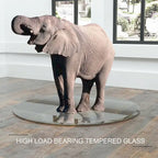 36 Inch Round Tempered Glass Table Top Clear Glass 1/4 Inch Thick Flat Polished Edge