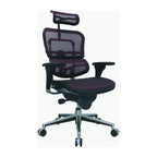 Eurotech Seating Ergohuman Mesh Managers Chair